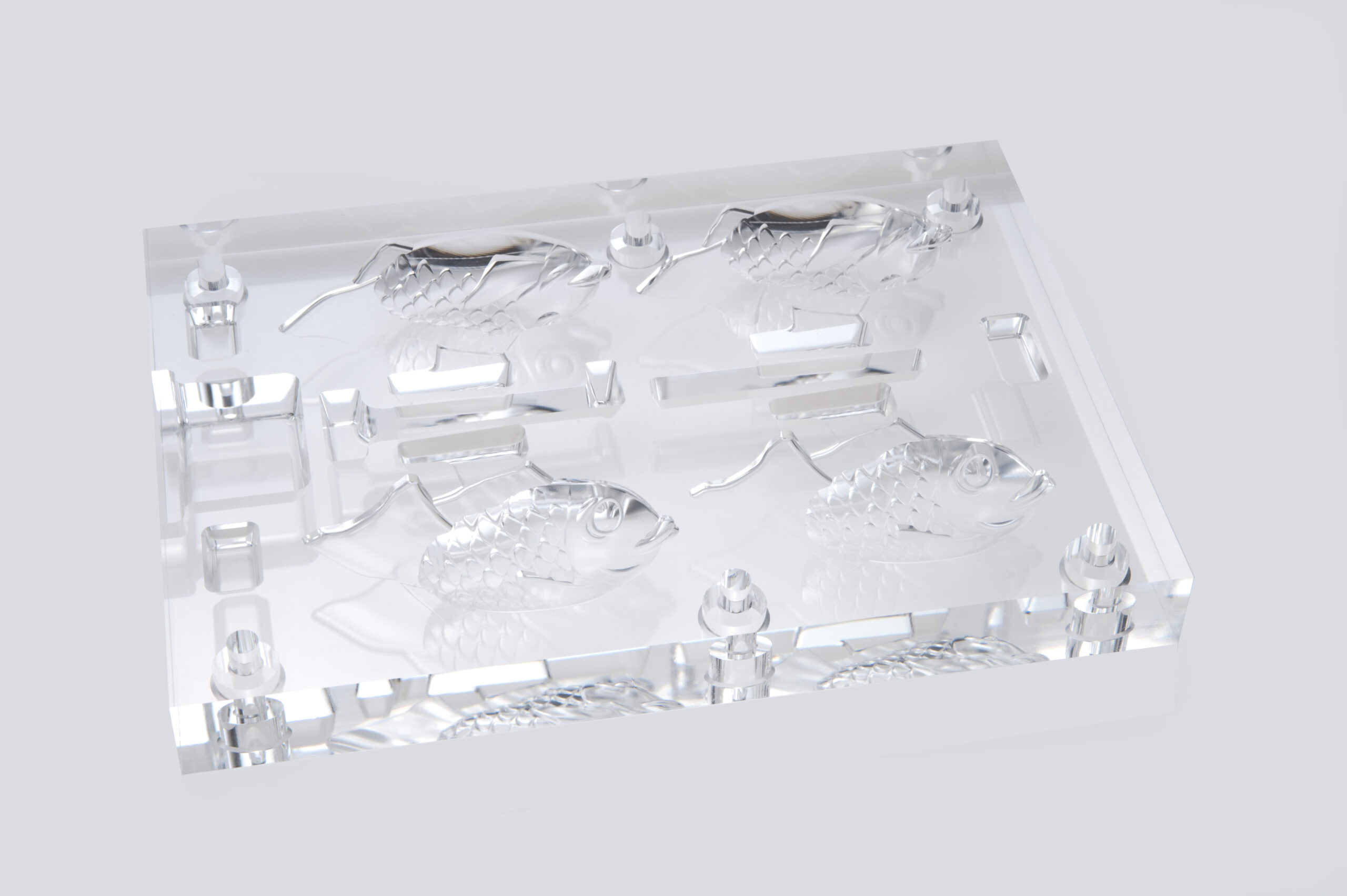 Transparent mold for flow analysis