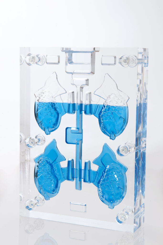 Transparent mold for flow analysis