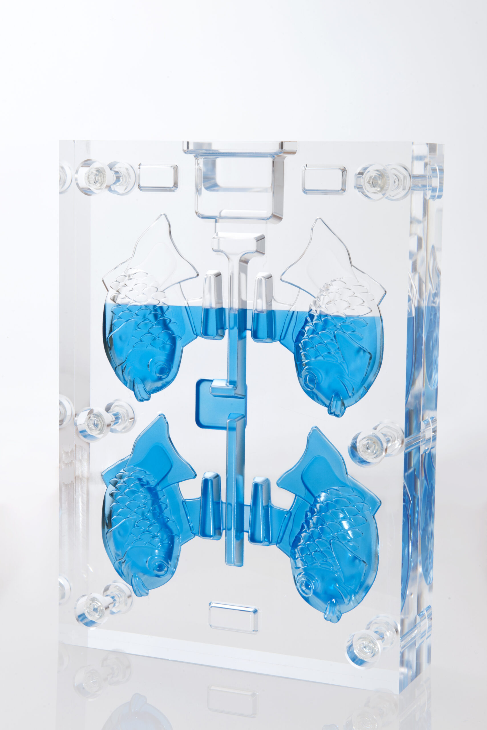 Transparent mold for flow analysis