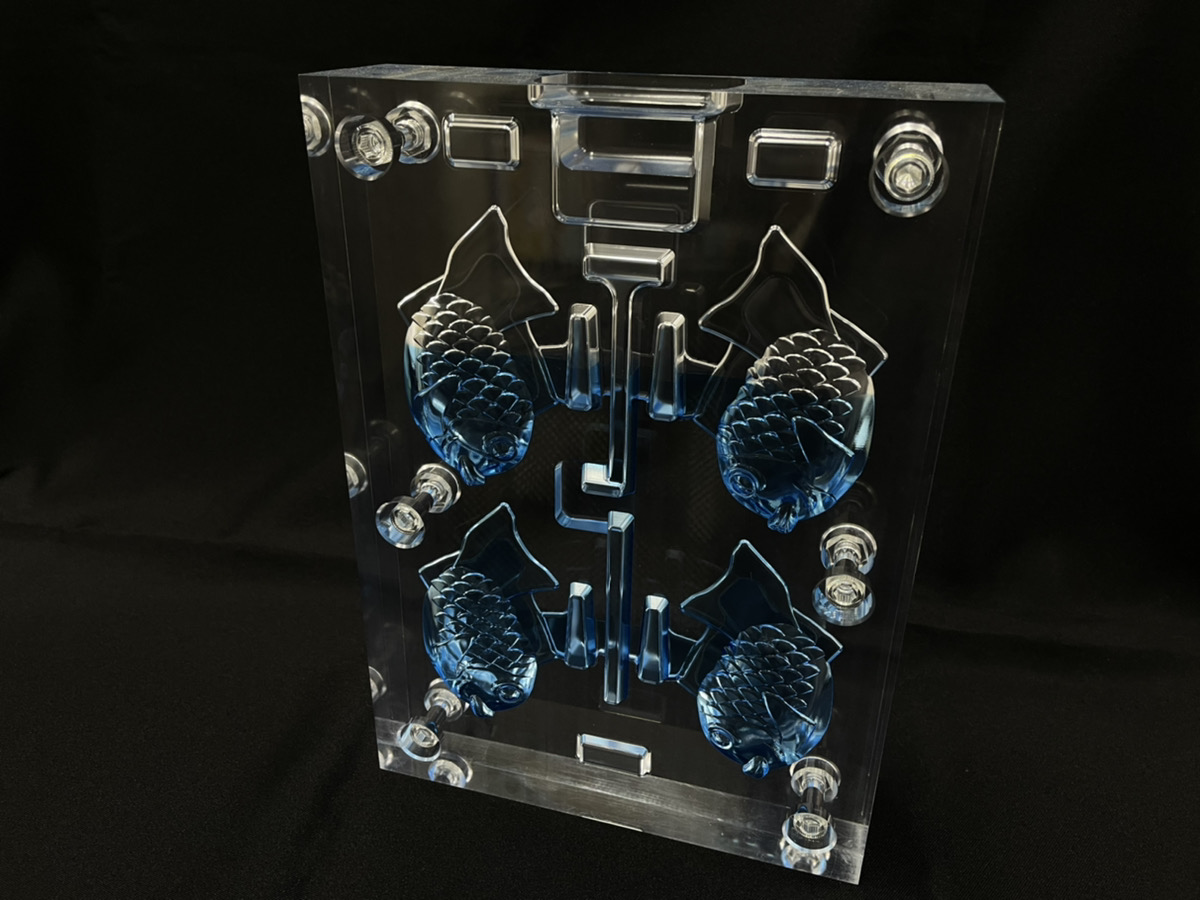 Transparent mold for flow analysis