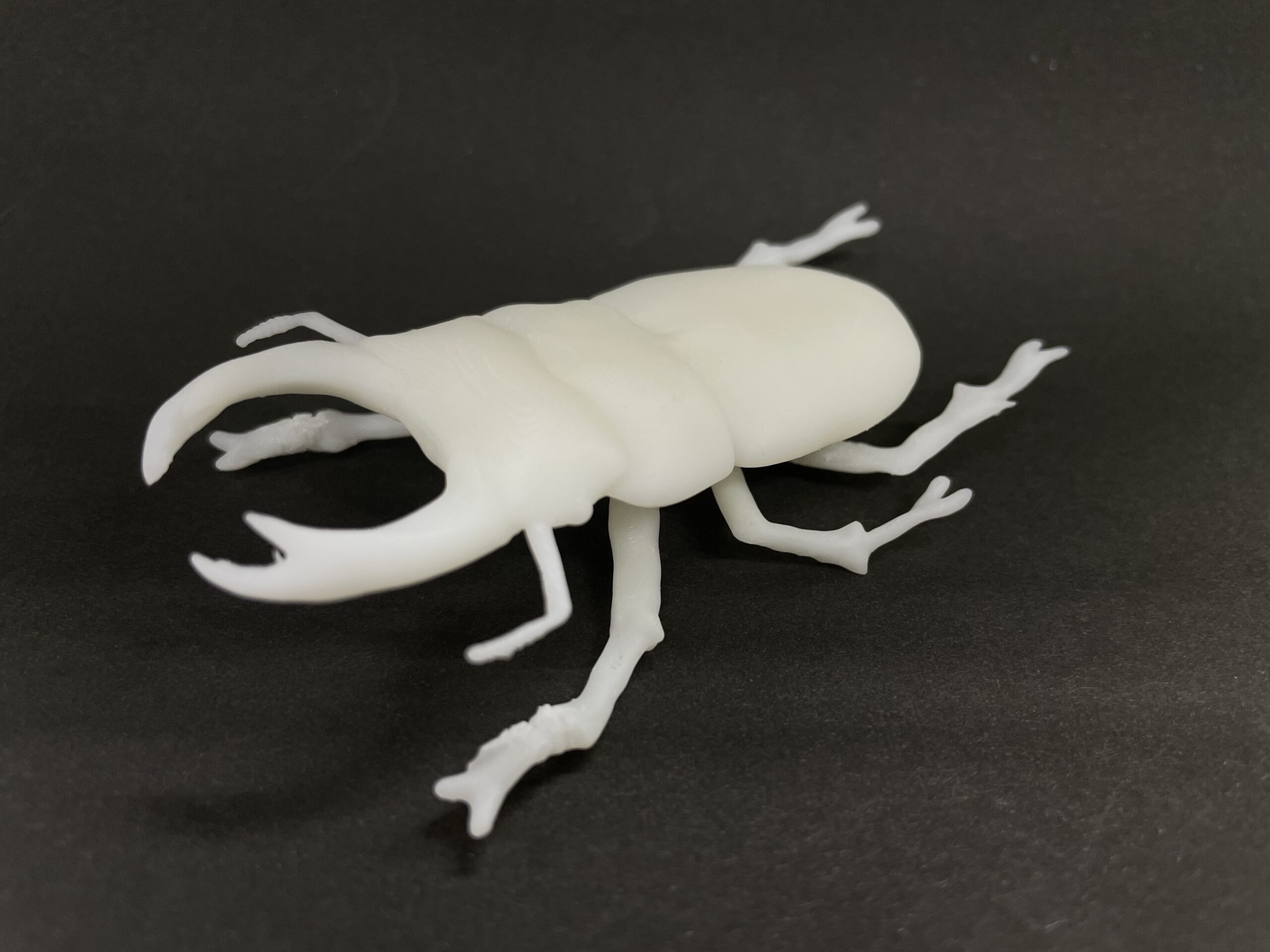 3D Printed Stag Beatle