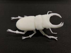 Stag Beatle 2
