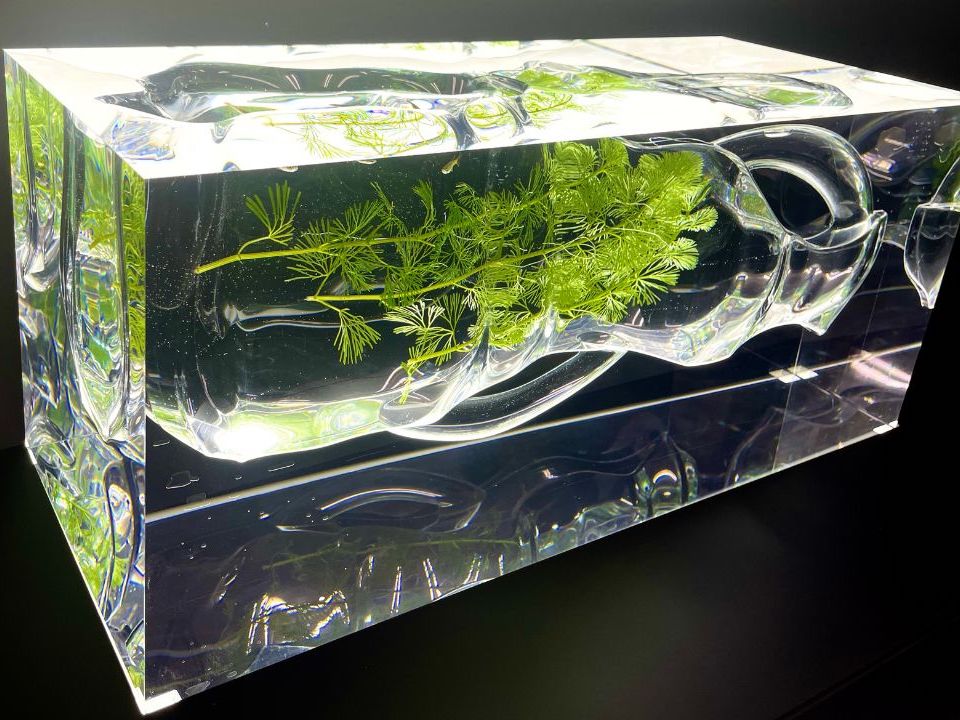 acrylic aquarium