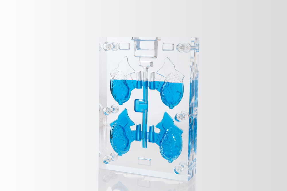 TRANSPARENT MOLD